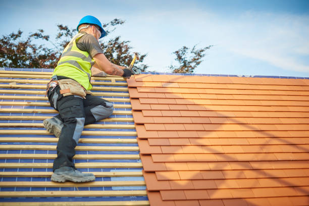 Best Roof Maintenance and Cleaning  in Chouteau, OK